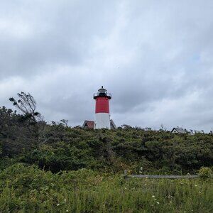 Meet your Posher, Randi